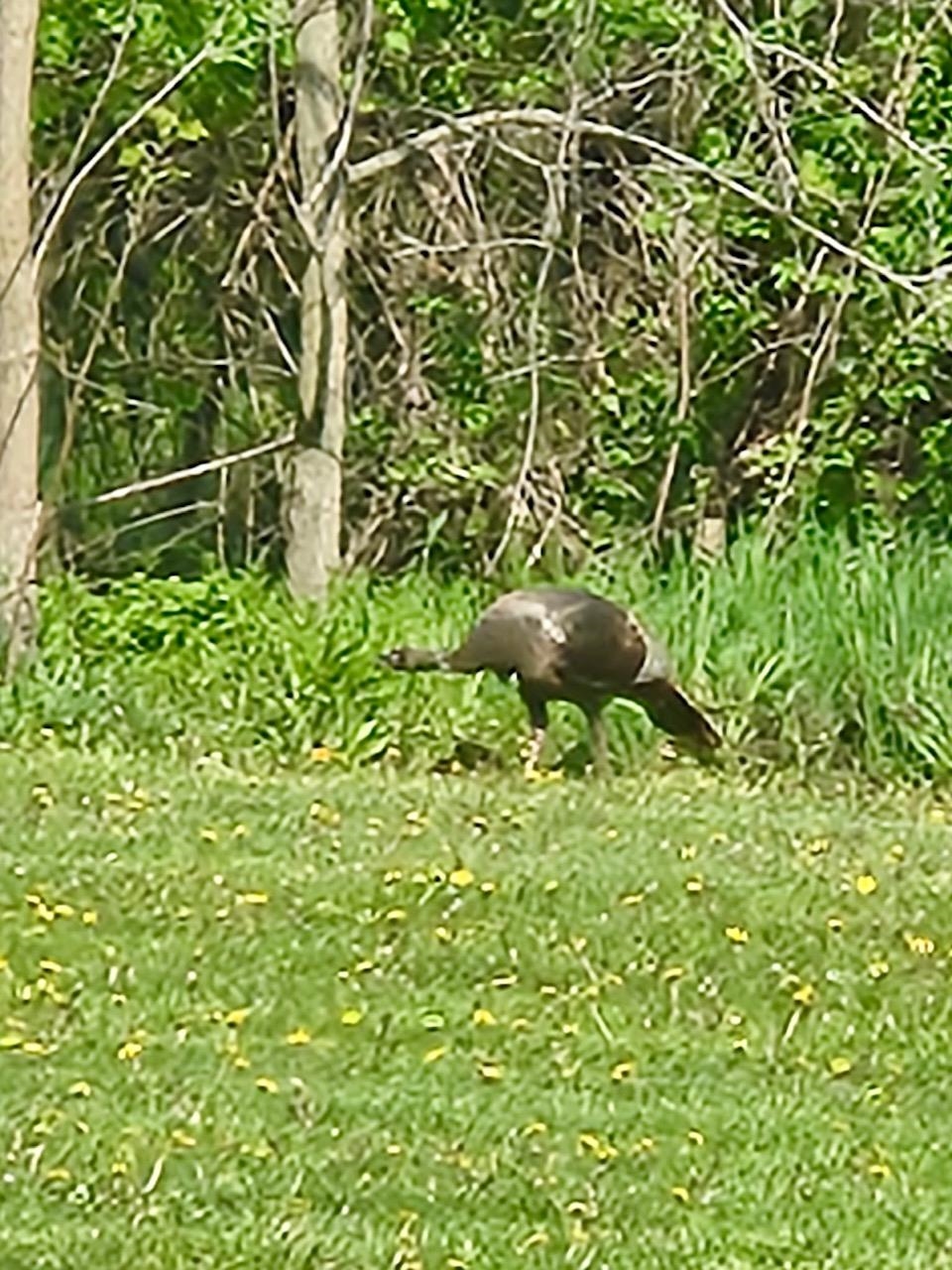 N2302 North Kohn Road Reeseville, WI 53579 - Photo 62 of 72