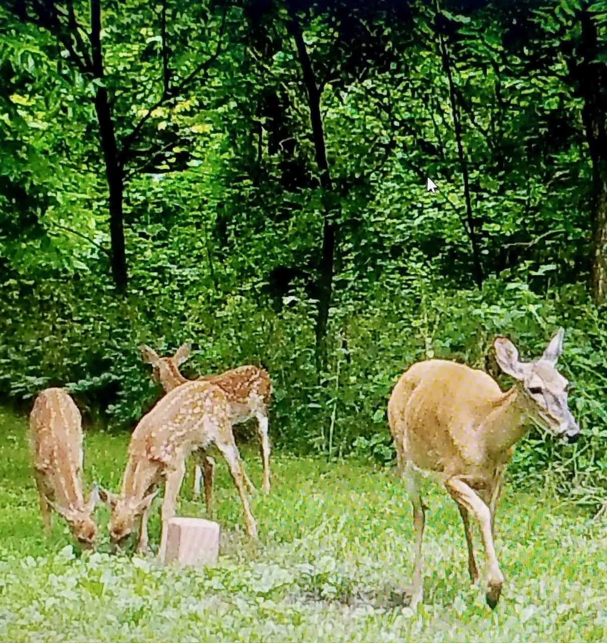 N2302 North Kohn Road Reeseville, WI 53579 - Photo 63 of 72