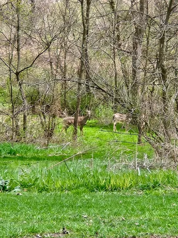 $569,000 | N2302 North Kohn Road, Reeseville, WI 53579