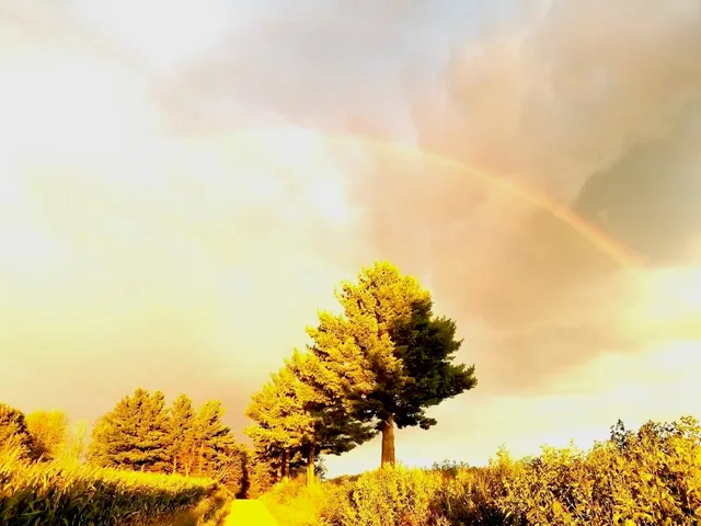 $569,000 | N2302 North Kohn Road, Reeseville, WI 53579