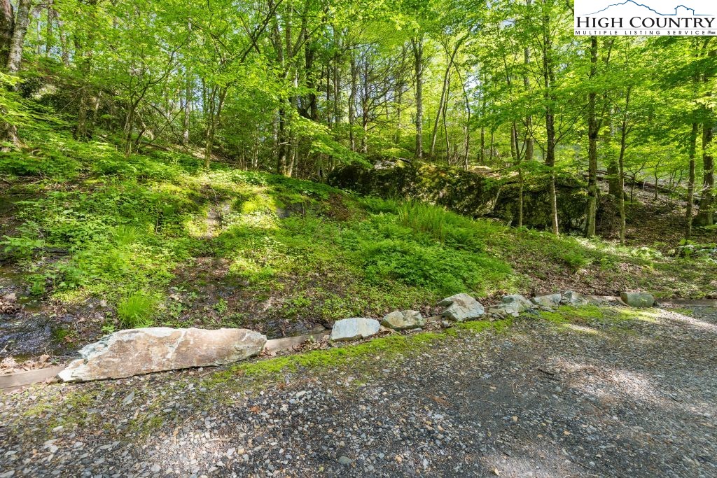 737 Tennant Road Newland, NC 28657 - Photo 33 of 38 a view of a garden with plants