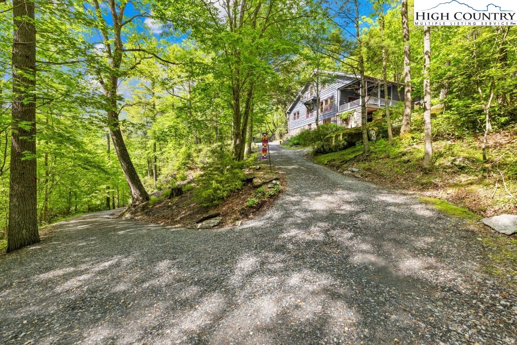 737 Tennant Road Newland, NC 28657 - Photo 37 of 38 a view of a tree with plants and trees