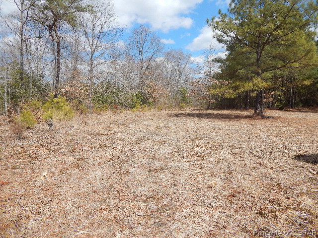 0 Waterfence Road Shacklefords, VA 23156 - Photo 6 of 10 Gallery Image 6