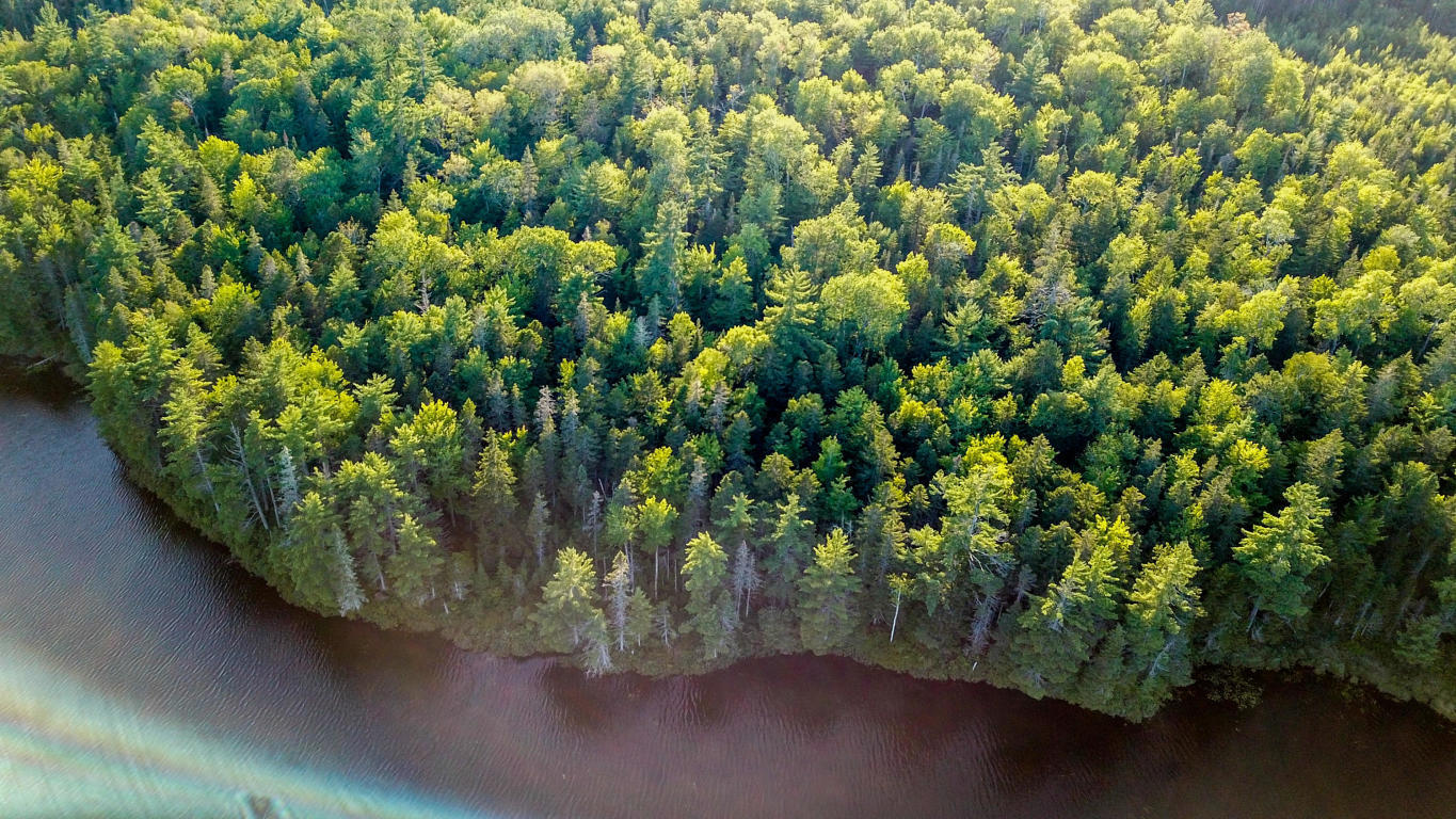 Lot 714 Ryder Road Wesley, ME 04686 - Photo 1 of 35 Overview