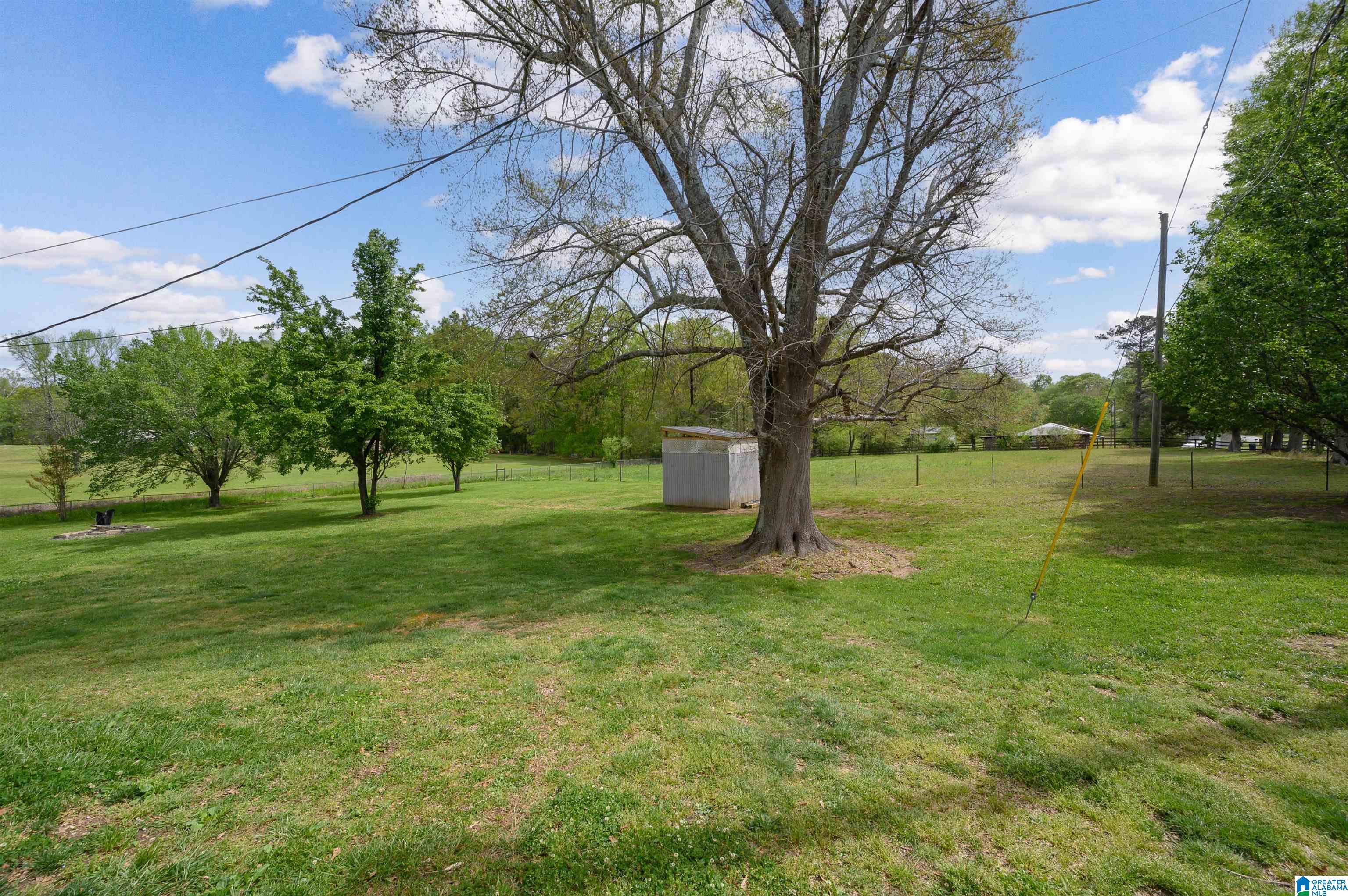 443 Huff Lane Steele, AL 35987 - Photo 43 of 54
