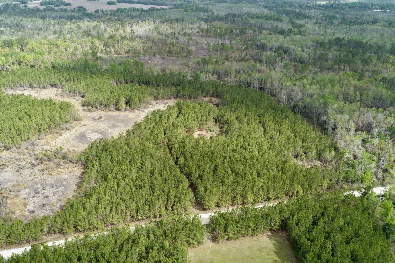 Vacant Southwest Vacant Sw Captain Brown Road Madison, FL 32340 - Photo 34 of 37