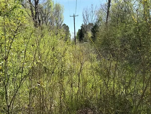 a bathroom with a small yard