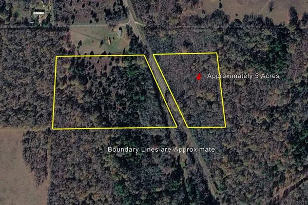 $60,000 | 3 Fm 542, Oakwood, TX 75855