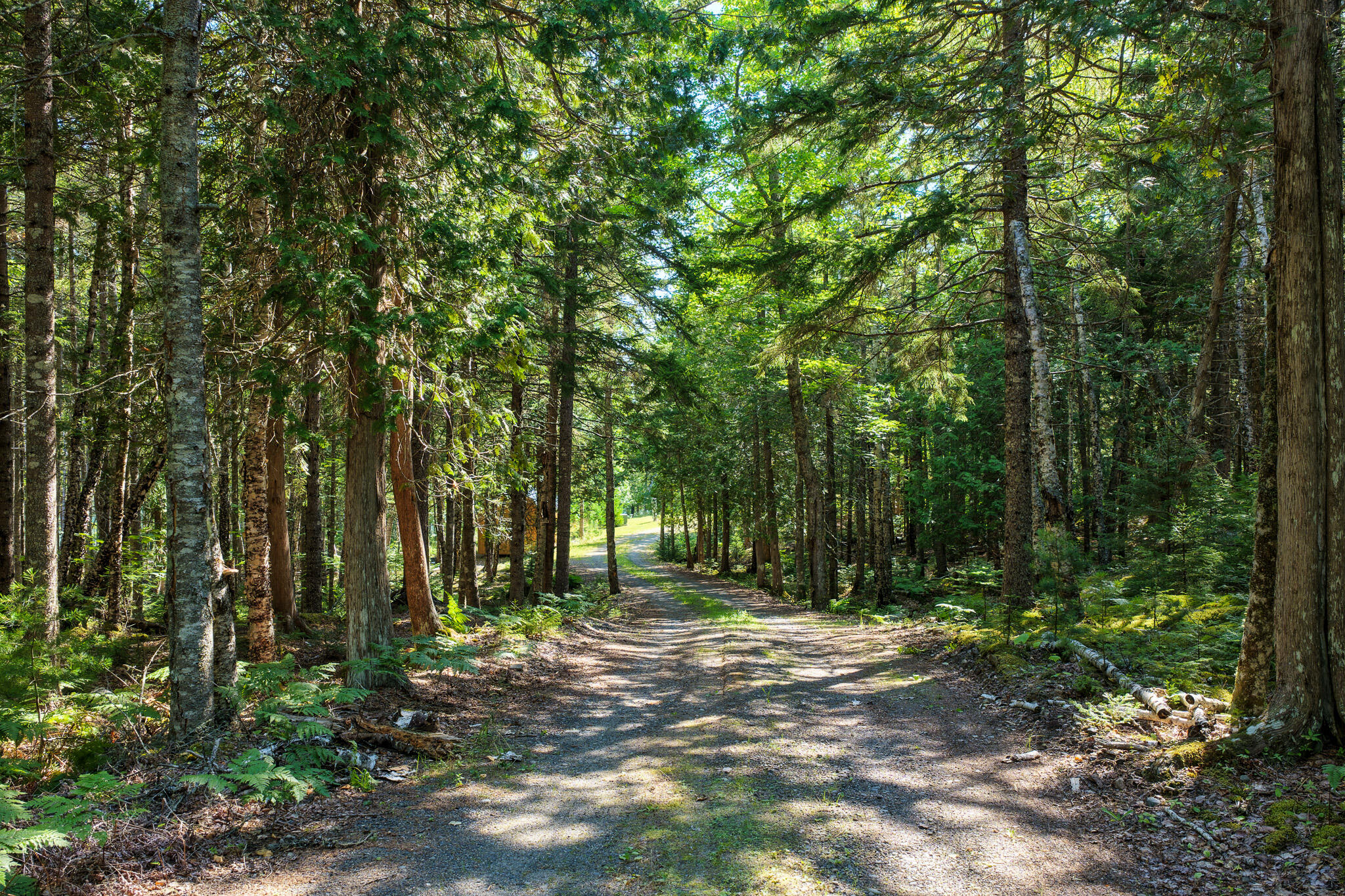 125 Coffins Neck Road Lubec, ME 04652 - Photo 35 of 35 34