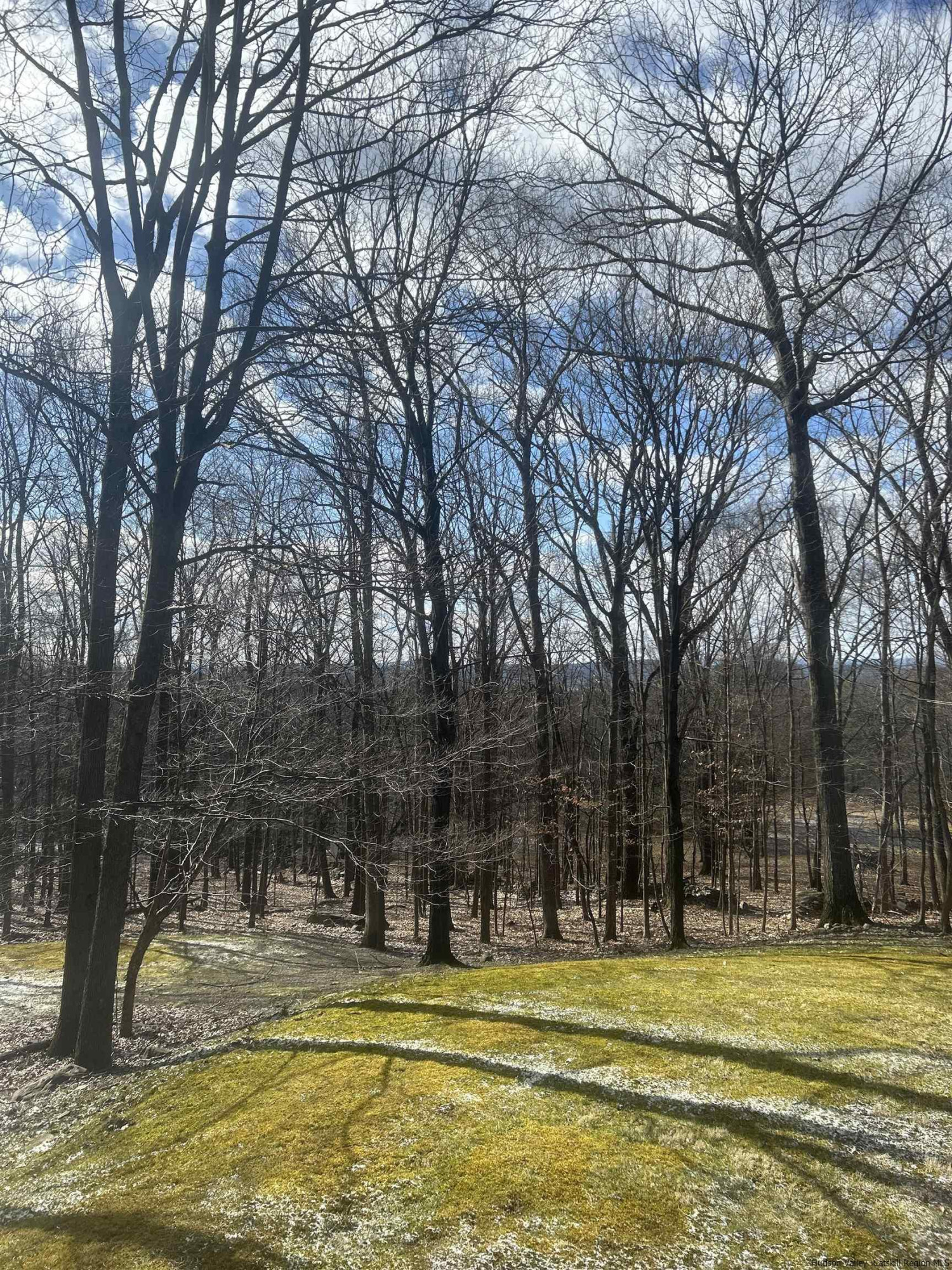 314 Mountain Road Shokan, NY 12481 - Photo 28 of 29 Photo 28