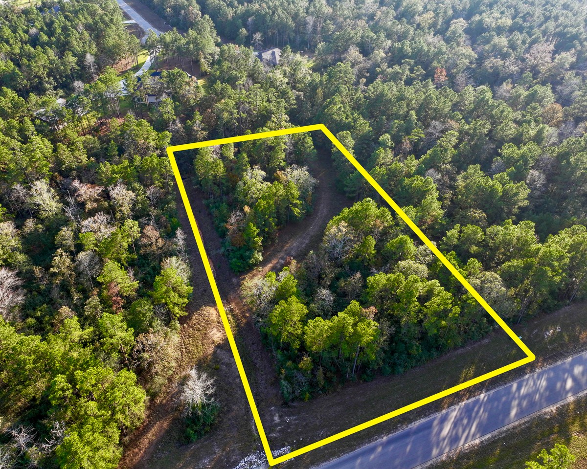 10662 Ruger Road Willis, TX 77378 - Photo 1 of 15 a view of a backyard