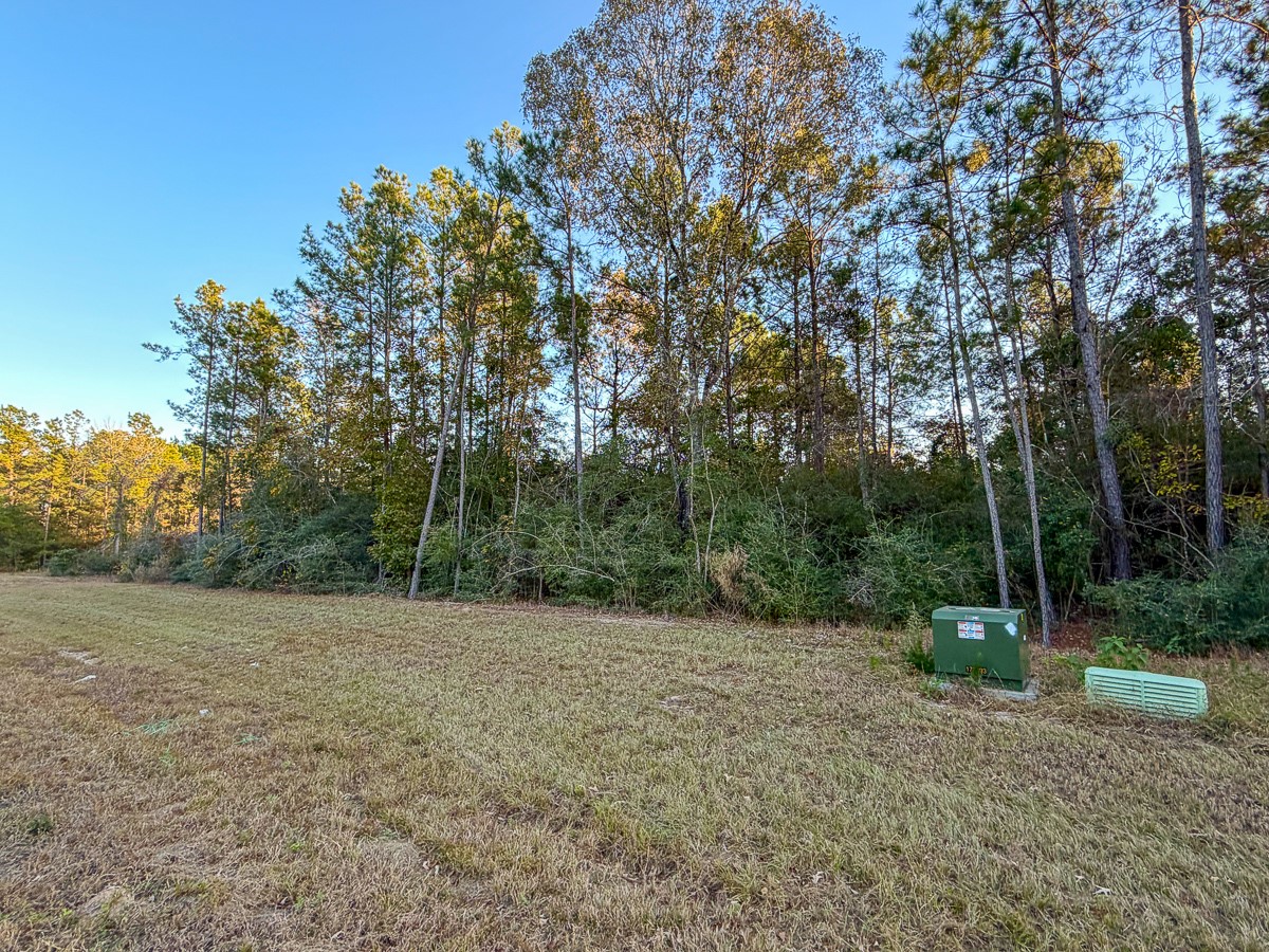 10662 Ruger Road Willis, TX 77378 - Photo 11 of 15 a view of a field with trees in the background