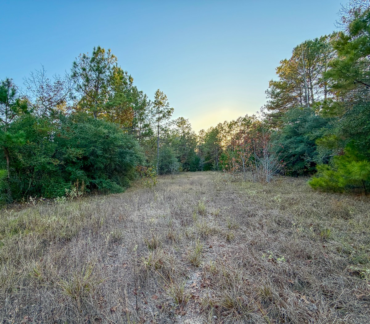10662 Ruger Road Willis, TX 77378 - Photo 12 of 15 a view of an outdoor space with a lake view