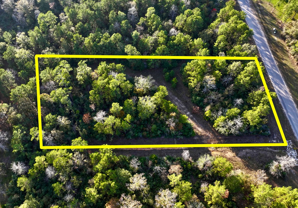 10662 Ruger Road Willis, TX 77378 - Photo 3 of 15 a view of swimming pool from a window