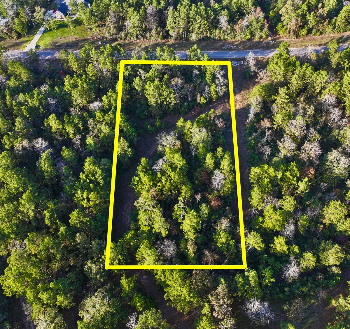 10662 Ruger Road Willis, TX 77378 - Photo 4 of 15 a view of a garden