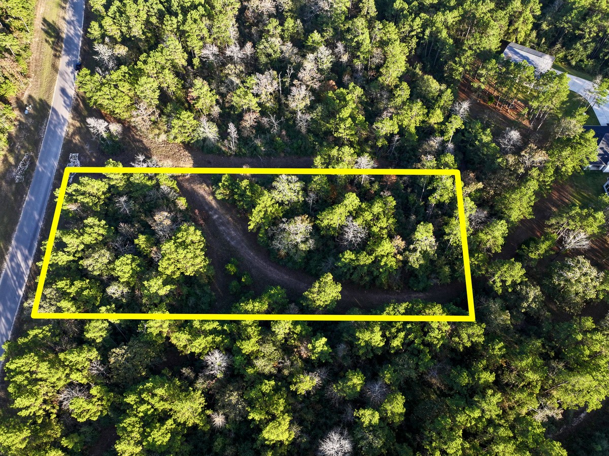 10662 Ruger Road Willis, TX 77378 - Photo 5 of 15 unknown