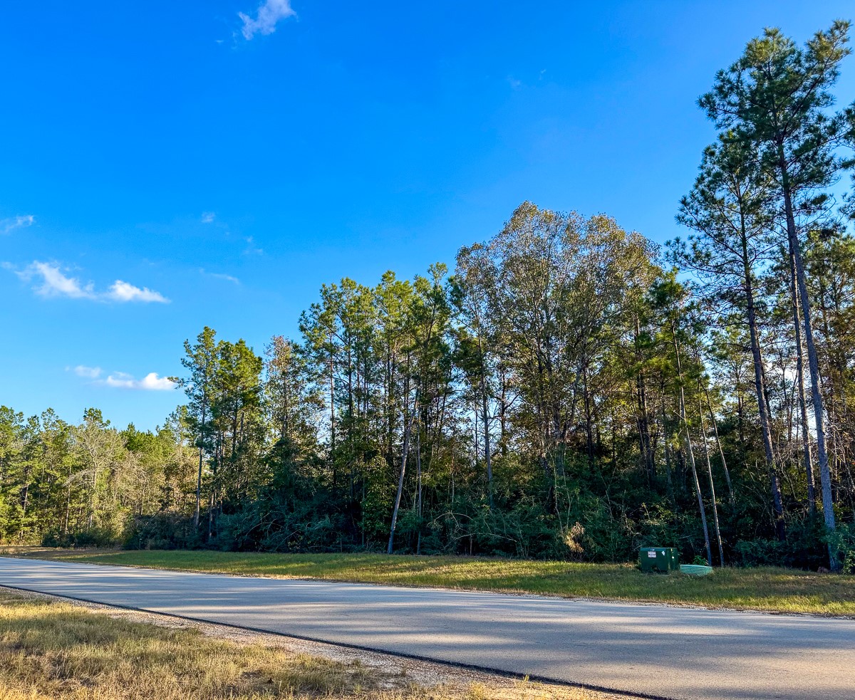 10662 Ruger Road Willis, TX 77378 - Photo 6 of 15 a view of a yard in front of a house