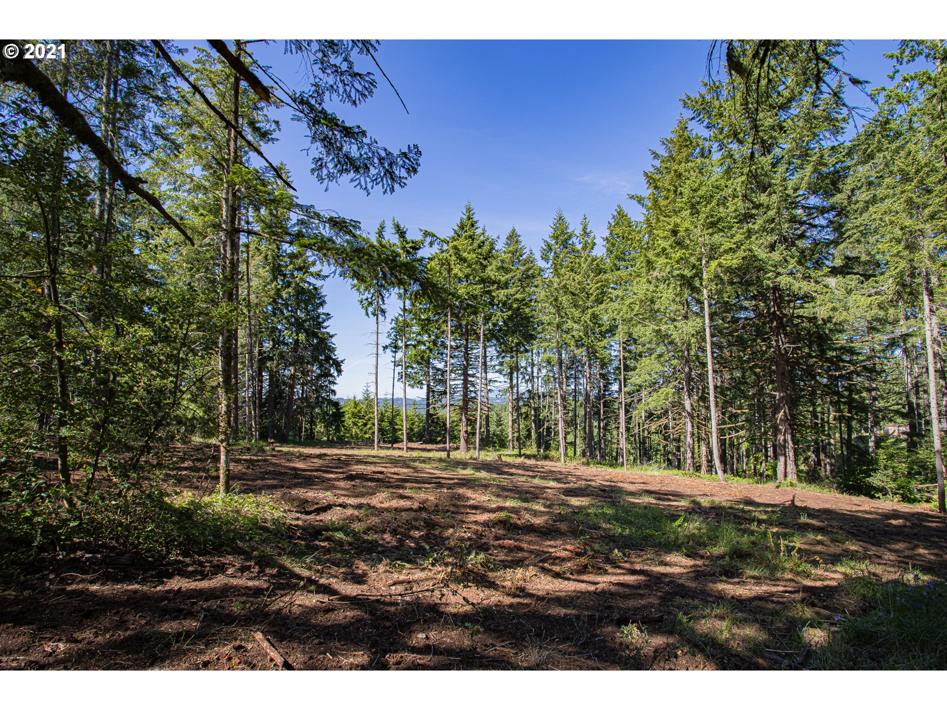 30245 Le Bleu Road, Unit 609 Eugene, OR 97405 - Photo 1 of 19 Gallery Image 1