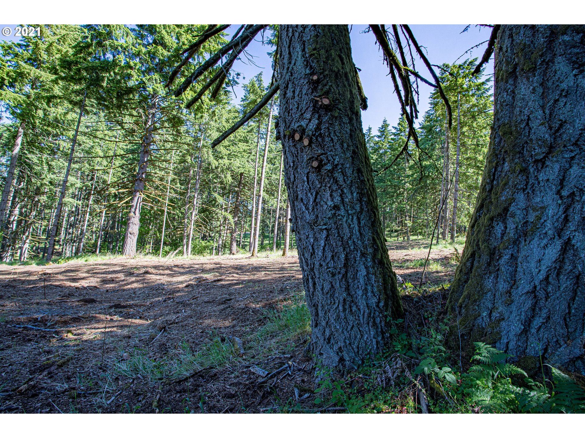 30245 Le Bleu Road, Unit 609 Eugene, OR 97405 - Photo 11 of 19 Gallery Image 11