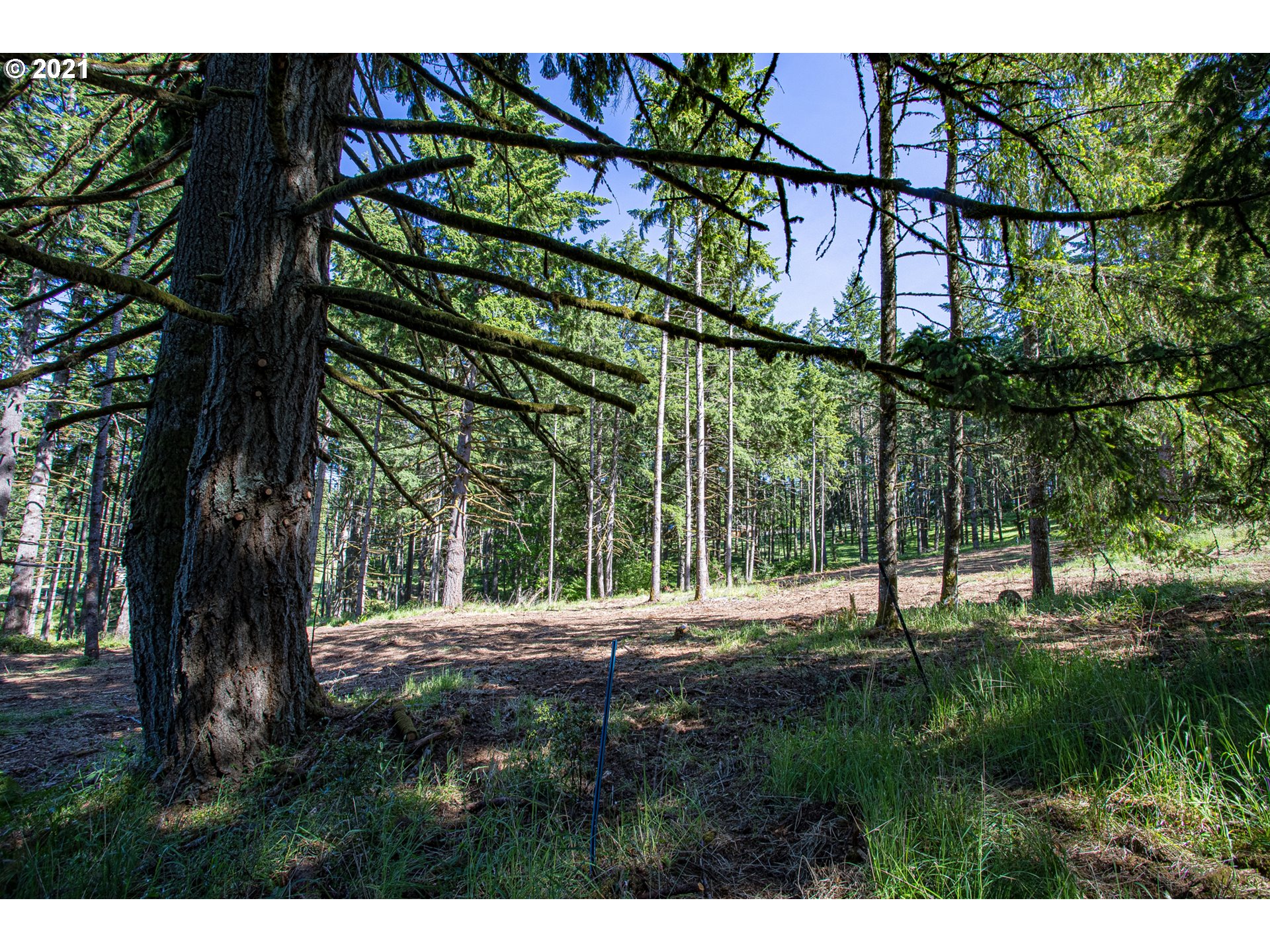 30245 Le Bleu Road, Unit 609 Eugene, OR 97405 - Photo 12 of 19 Gallery Image 12