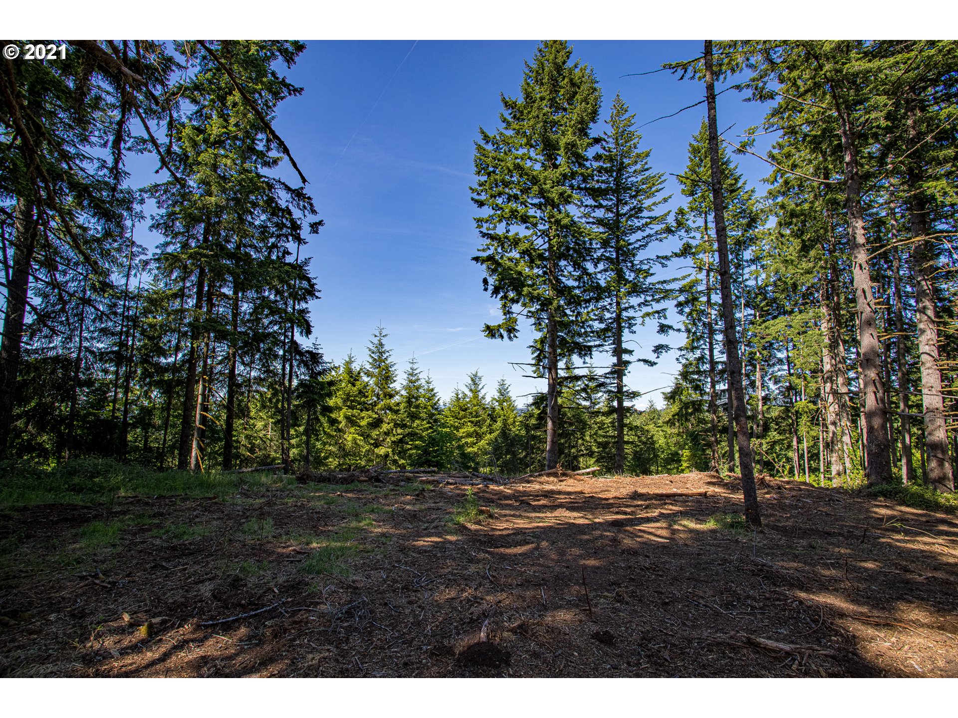 30245 Le Bleu Road, Unit 609 Eugene, OR 97405 - Photo 13 of 19 Gallery Image 13