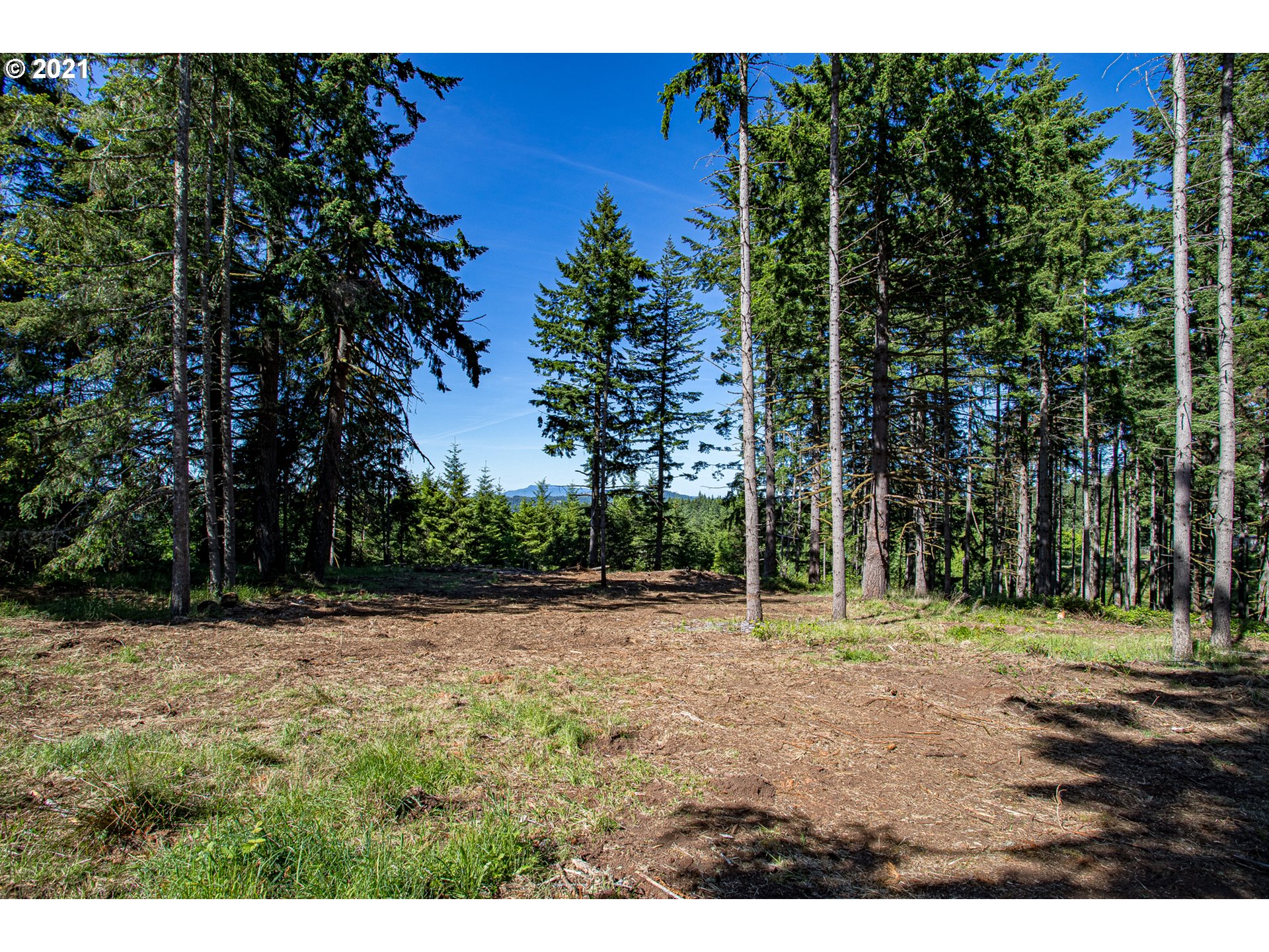 30245 Le Bleu Road, Unit 609 Eugene, OR 97405 - Photo 14 of 19 Gallery Image 14