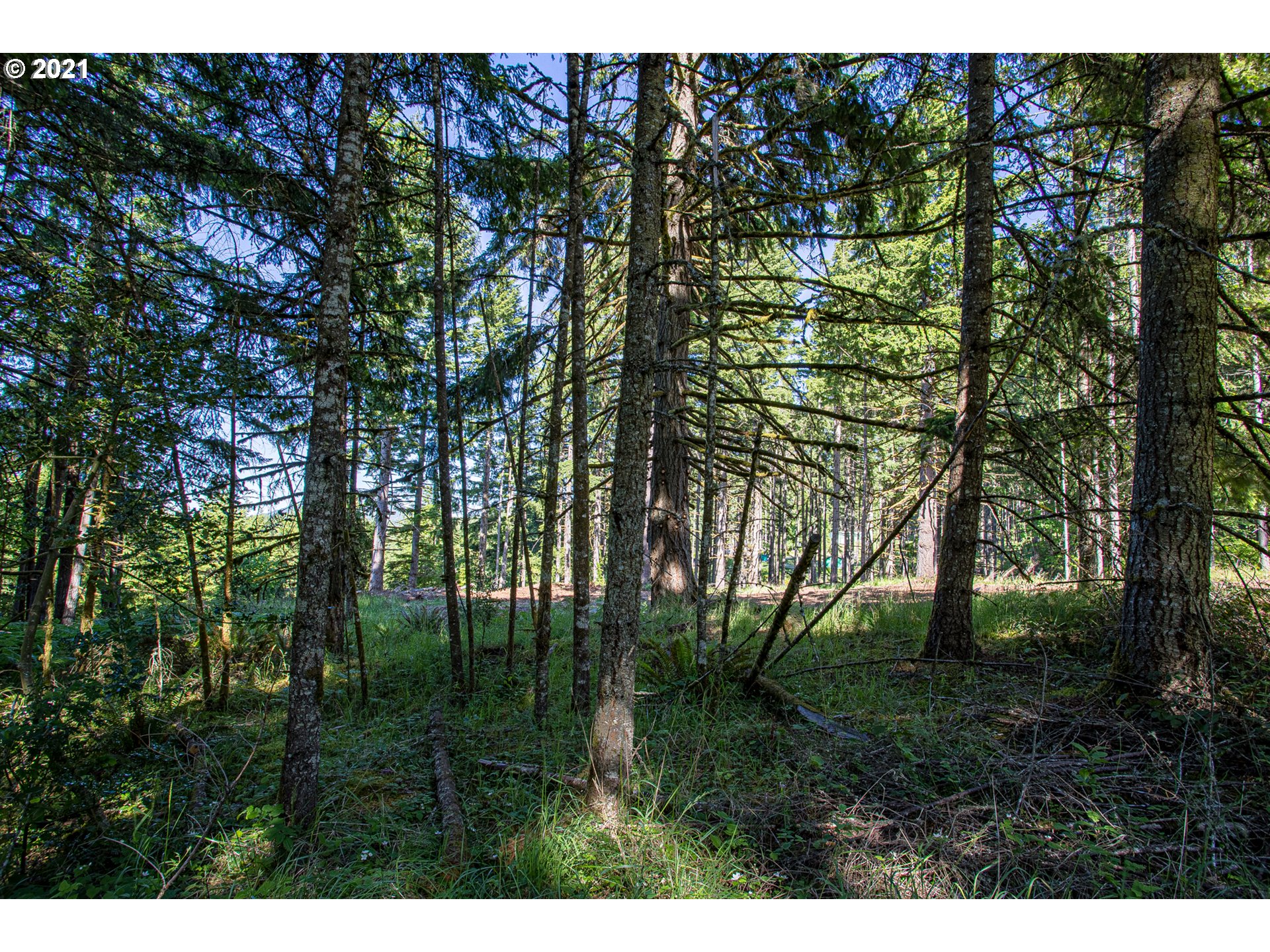 30245 Le Bleu Road, Unit 609 Eugene, OR 97405 - Photo 15 of 19 Gallery Image 15