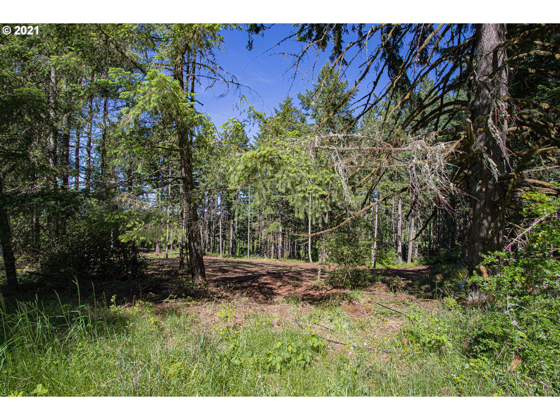 30245 Le Bleu Road, Unit 609 Eugene, OR 97405 - Photo 17 of 19 Gallery Image 17