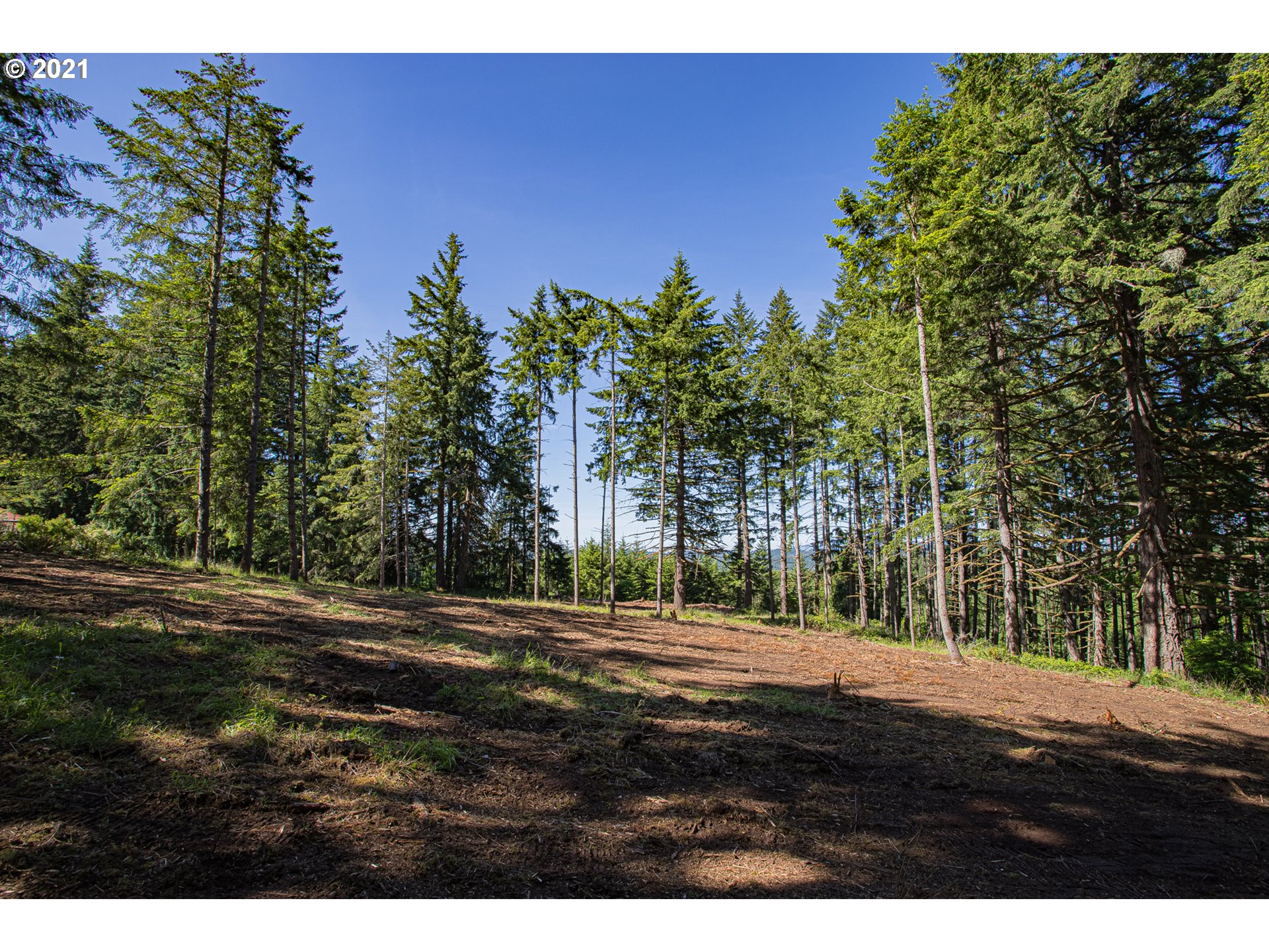30245 Le Bleu Road, Unit 609 Eugene, OR 97405 - Photo 18 of 19 Gallery Image 18
