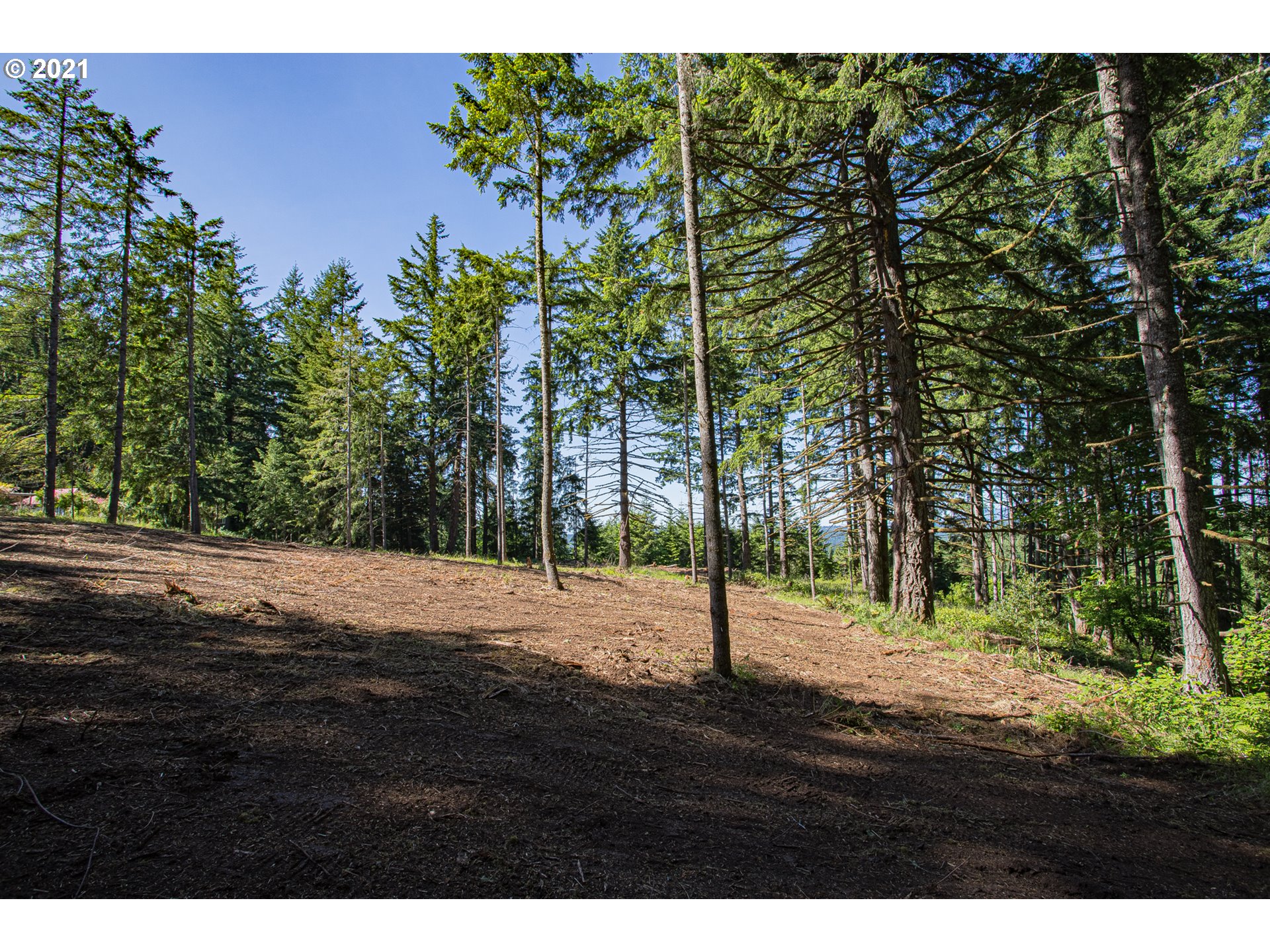 30245 Le Bleu Road, Unit 609 Eugene, OR 97405 - Photo 19 of 19 Gallery Image 19