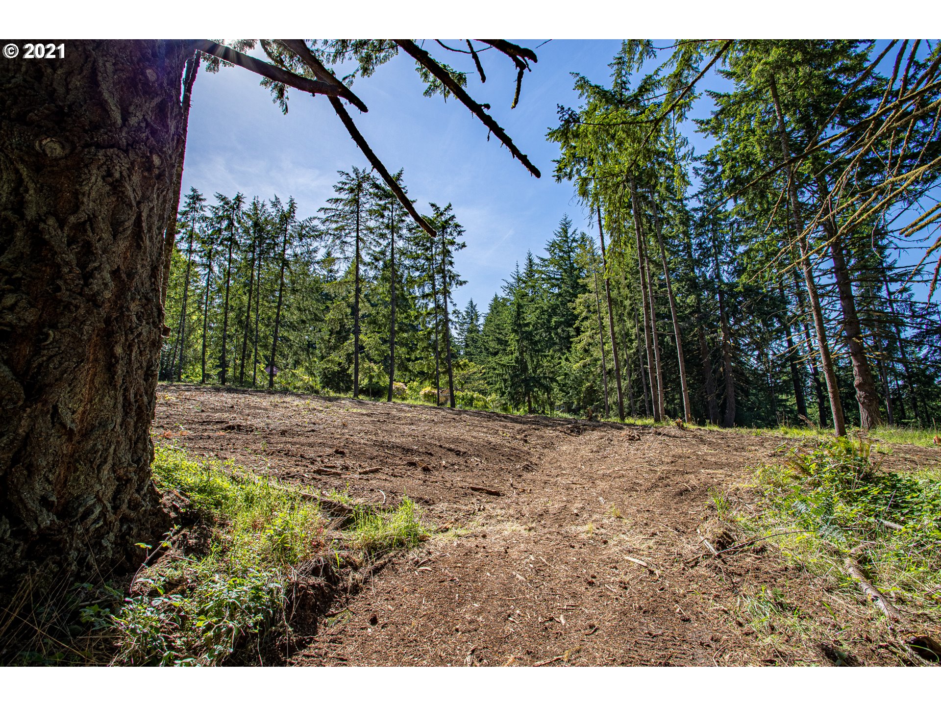 30245 Le Bleu Road, Unit 609 Eugene, OR 97405 - Photo 3 of 19 Gallery Image 3