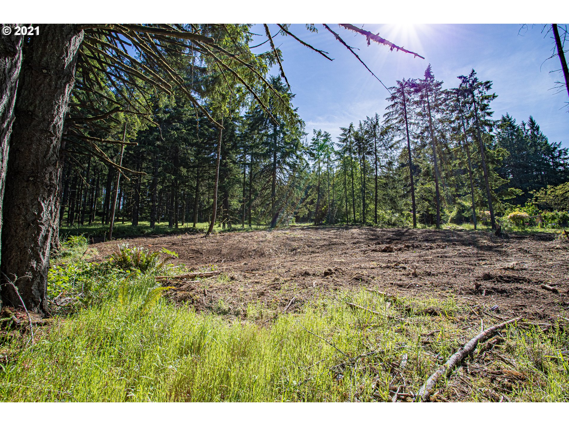 30245 Le Bleu Road, Unit 609 Eugene, OR 97405 - Photo 4 of 19 Gallery Image 4
