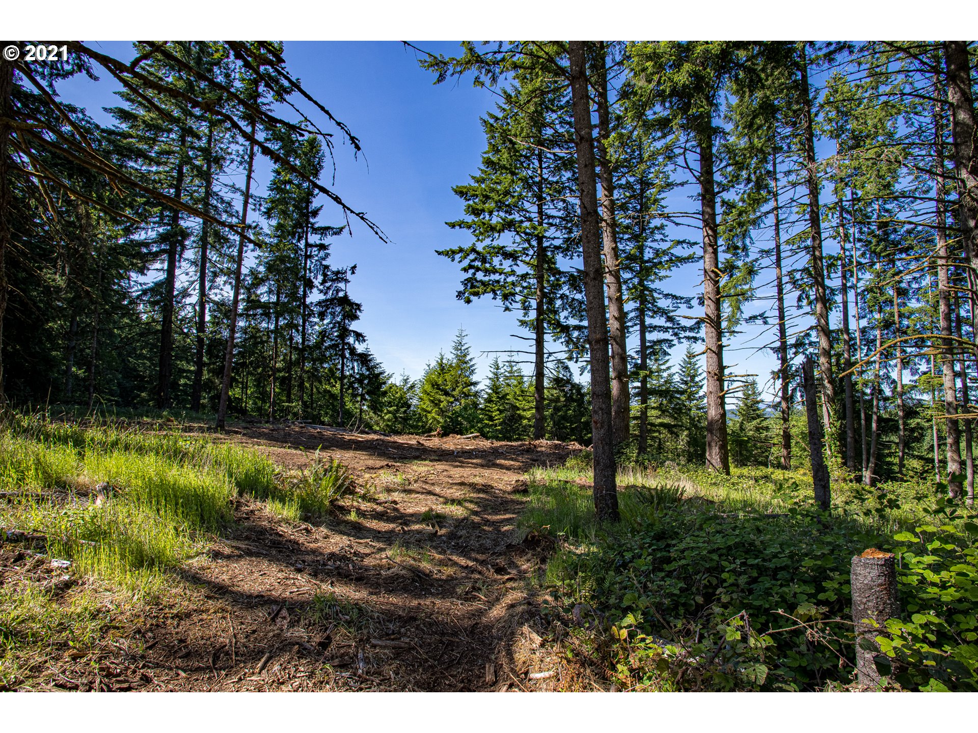 30245 Le Bleu Road, Unit 609 Eugene, OR 97405 - Photo 5 of 19 Gallery Image 5