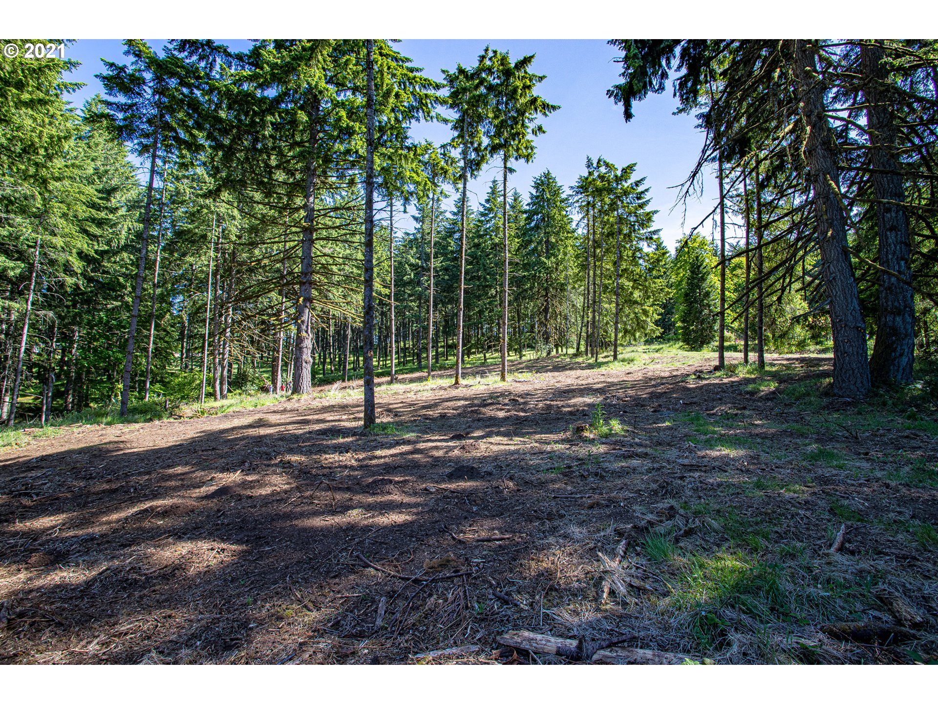 30245 Le Bleu Road, Unit 609 Eugene, OR 97405 - Photo 9 of 19 Gallery Image 9
