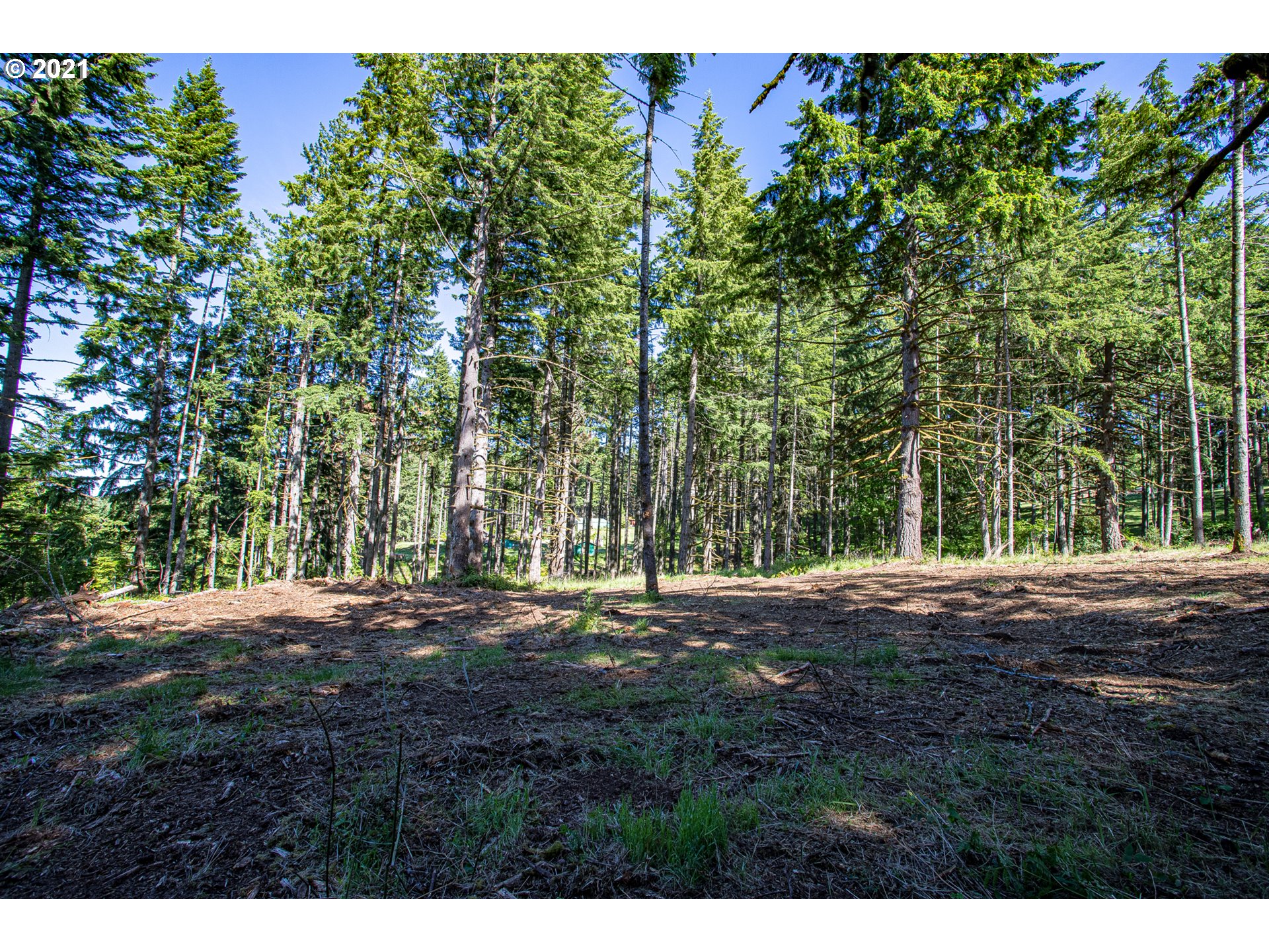 30245 Le Bleu Road, Unit 609 Eugene, OR 97405 - Photo 10 of 19 Gallery Image 10
