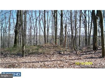 280 Township Road Downingtown, PA 19335 - Photo 4 of 12 View