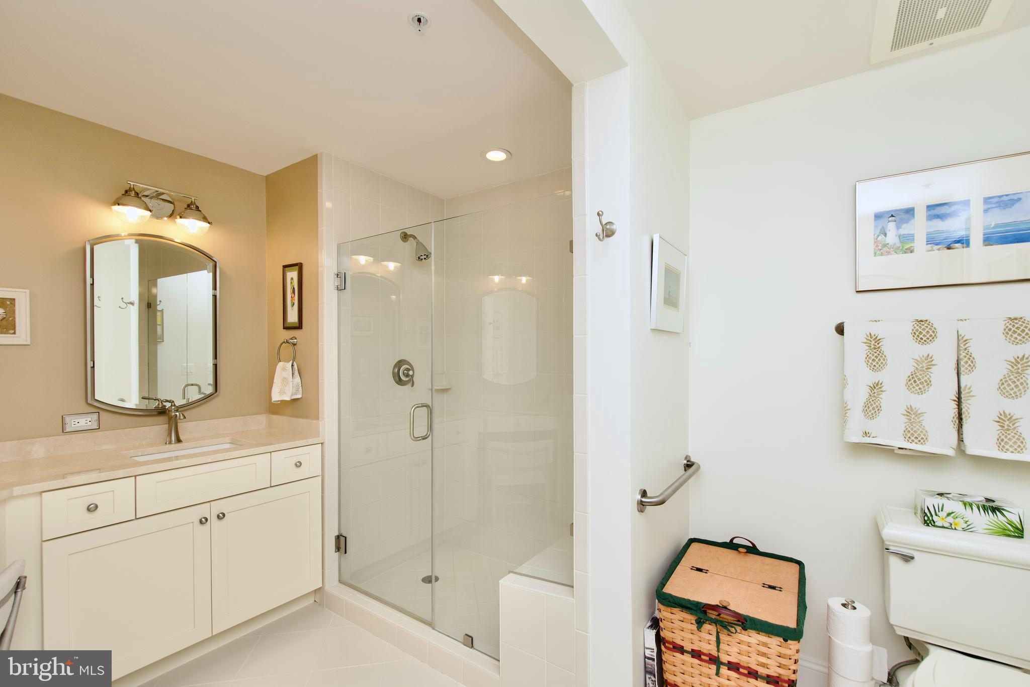 1781 Chain Bridge Road, Unit 302 McLean, VA 22102 - Photo 19 of 39 a bathroom with a double vanity sink mirror and shower