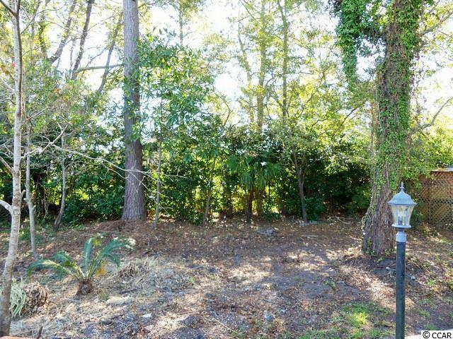 1008 South Marlin Circle Murrells Inlet, SC 29576 - Photo 22 of 35 Gallery Image 22