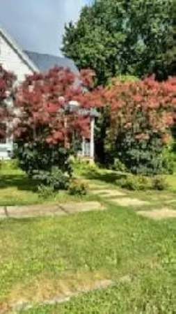 $189,900 | 406 Garfield Street, Leaf River, IL 61047