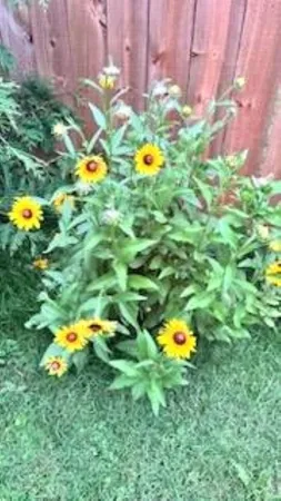 $189,900 | 406 Garfield Street, Leaf River, IL 61047