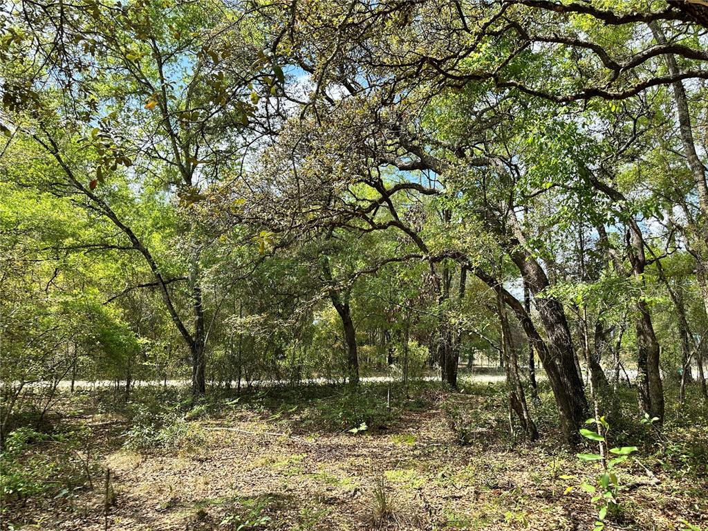 Tbd Northeast 9th Street Williston, FL 32696 - Photo 3 of 10 a backyard of a house with lots of green space