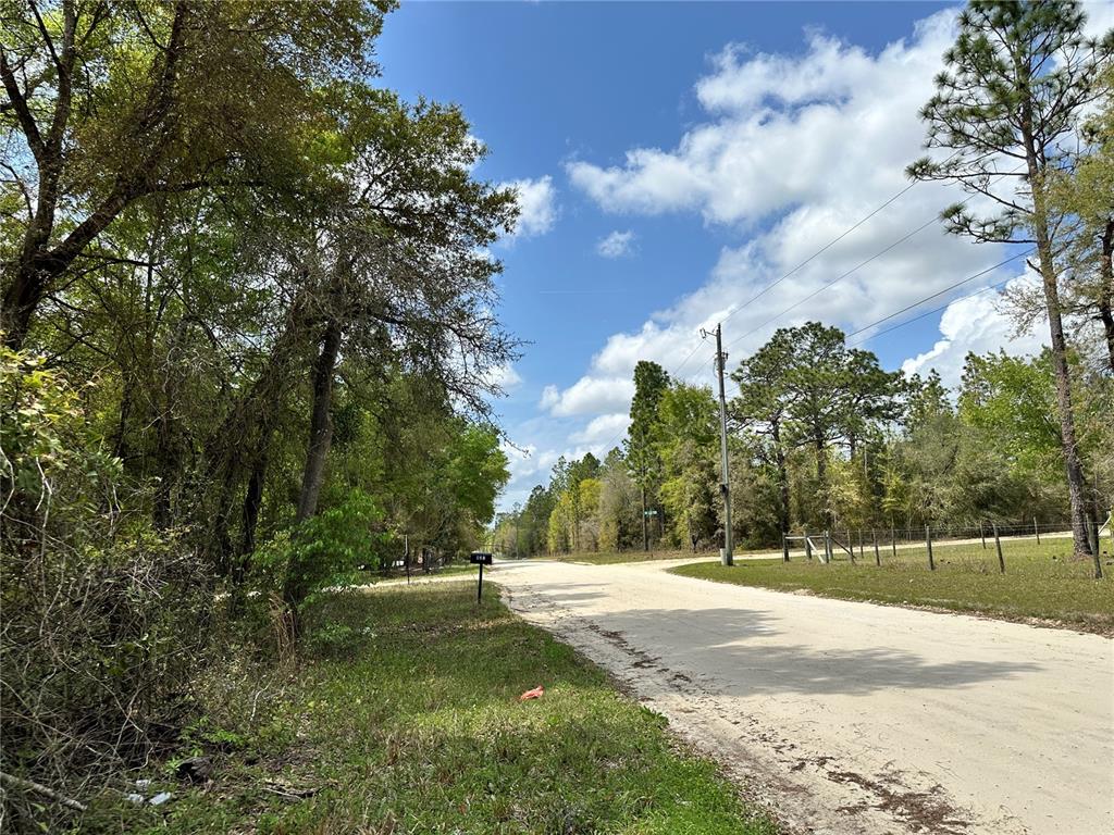 Tbd Northeast 9th Street Williston, FL 32696 - Photo 9 of 10 a view of a yard with large trees