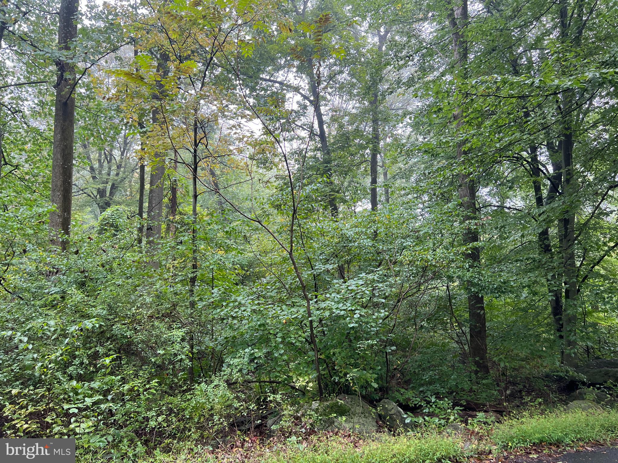 3-0 Tower Road Smithsburg, MD 21783 - Photo 6 of 8