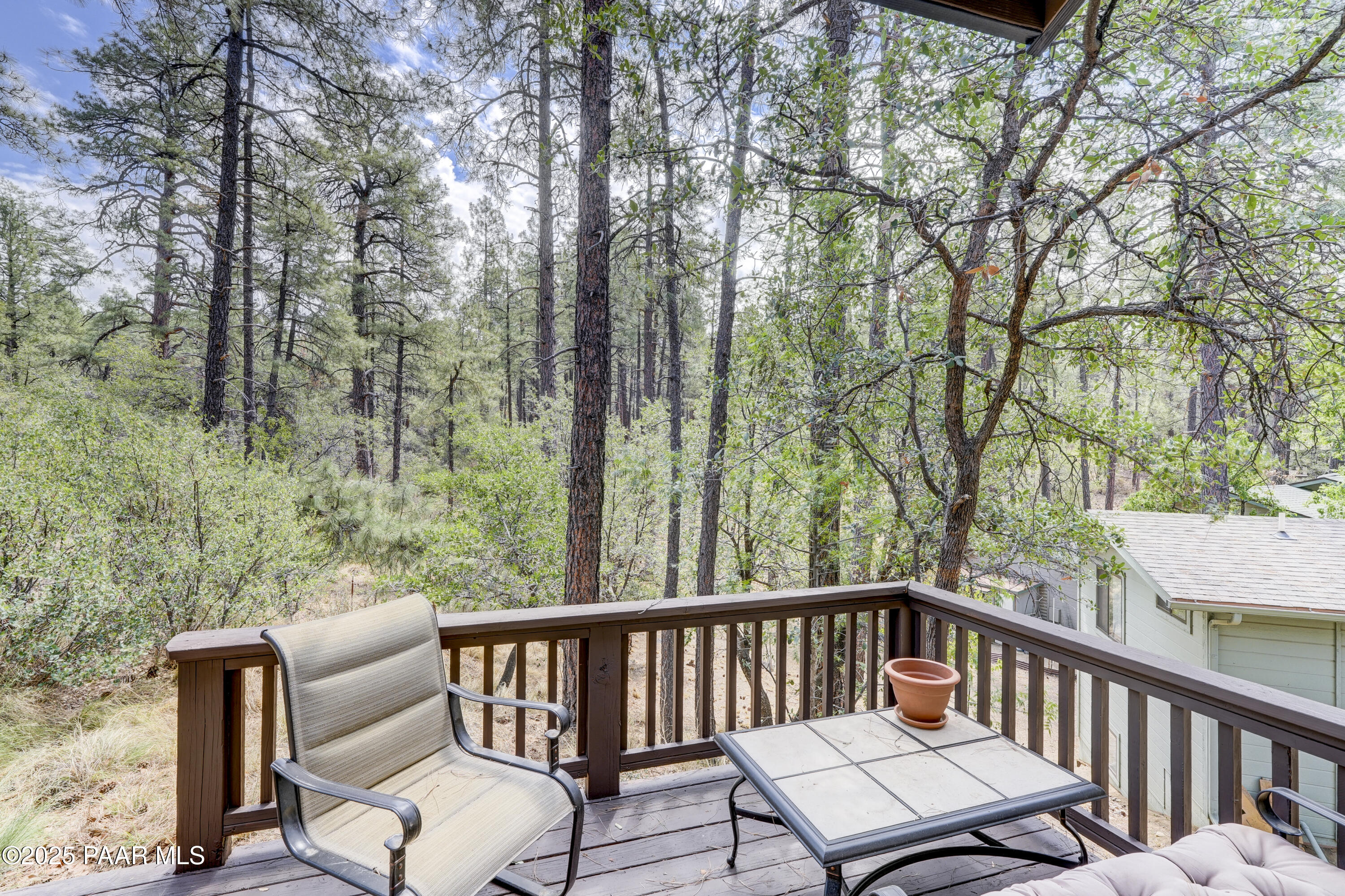 4763 South Juniper Loop Road Prescott, AZ 86303 - Photo 13 of 24 Back Porch 1