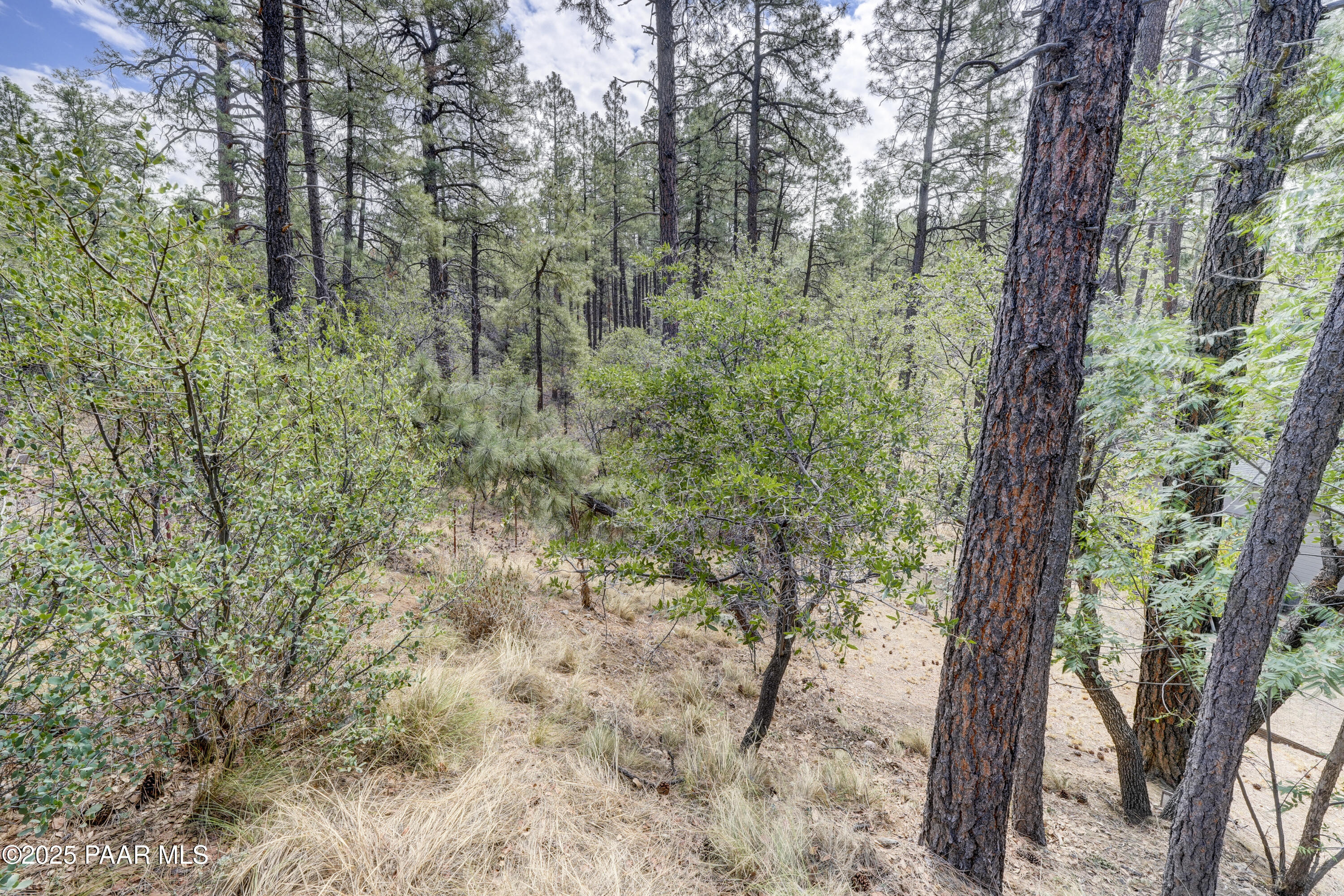 4763 South Juniper Loop Road Prescott, AZ 86303 - Photo 23 of 24 Back Yard 1
