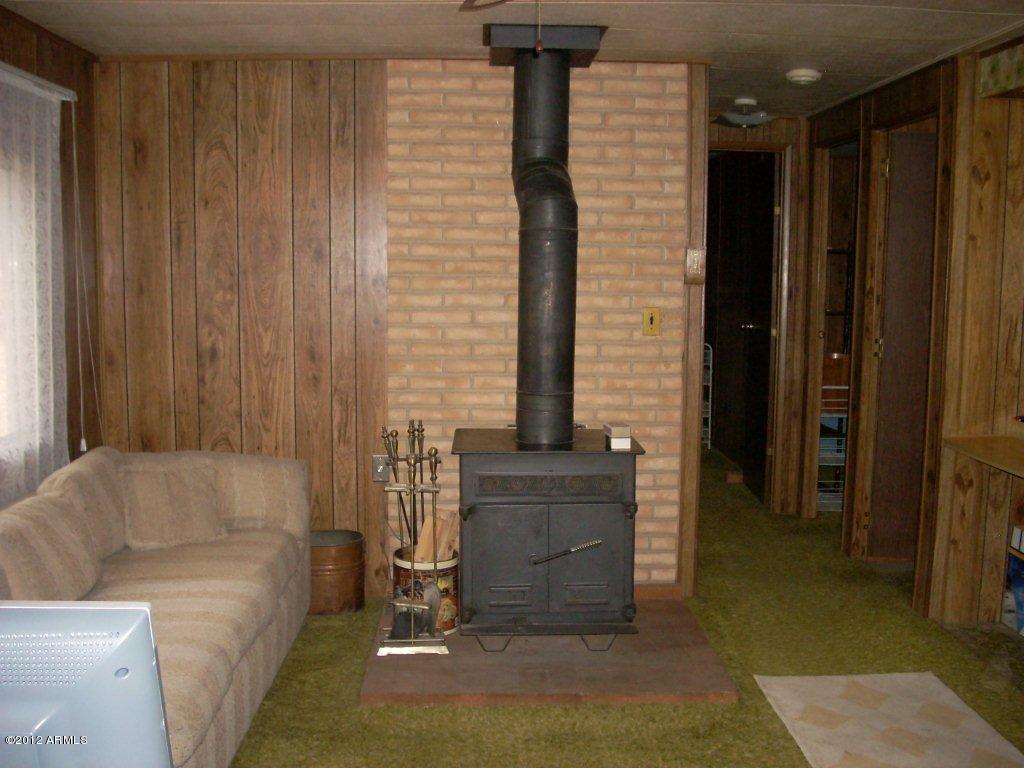 3363 Rim Lakes Drive Overgaard, AZ 85933 - Photo 2 of 10 2
