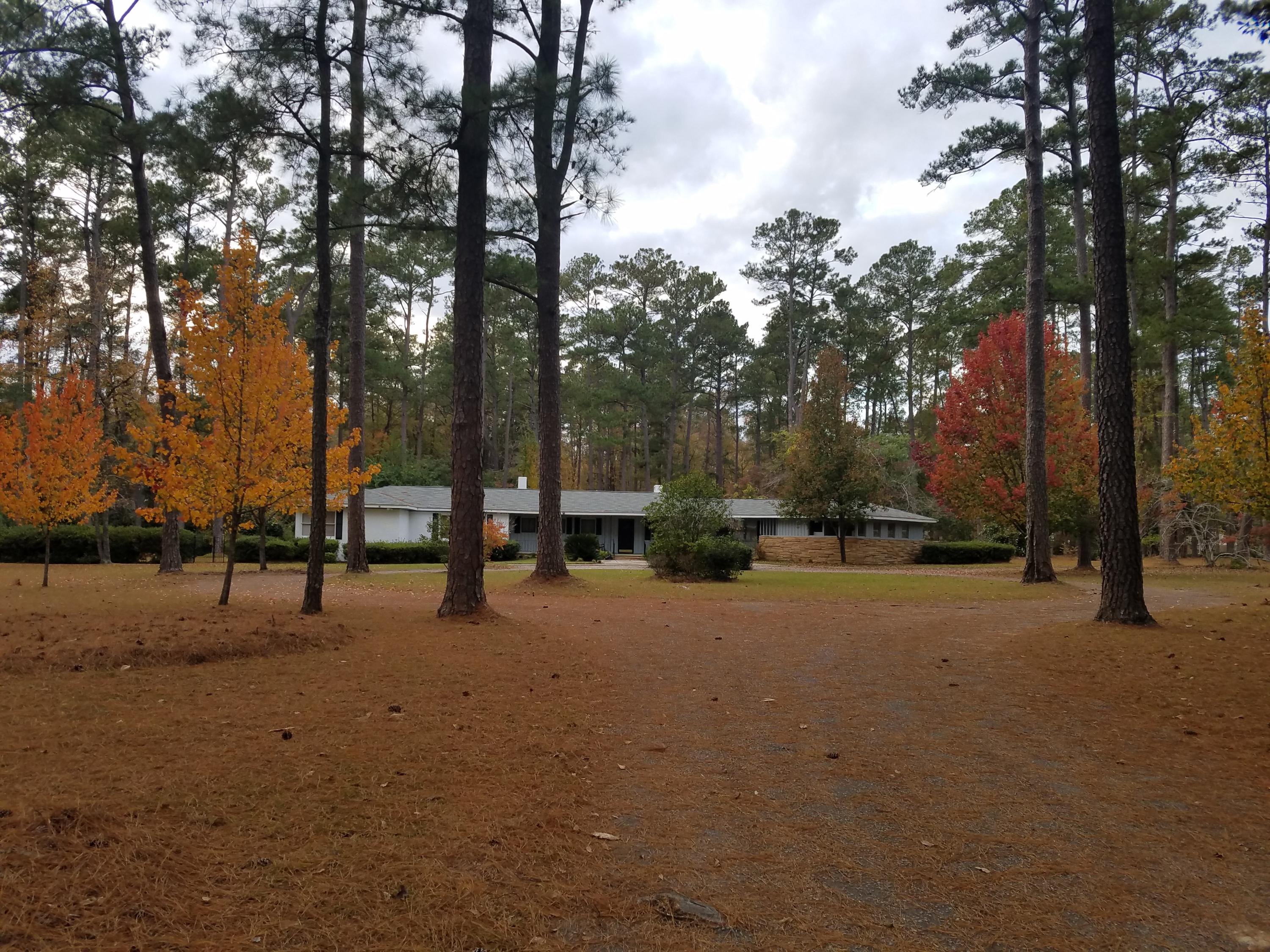 230 Overhill Road Walterboro, SC 29488 - Photo 2 of 59 warshaw