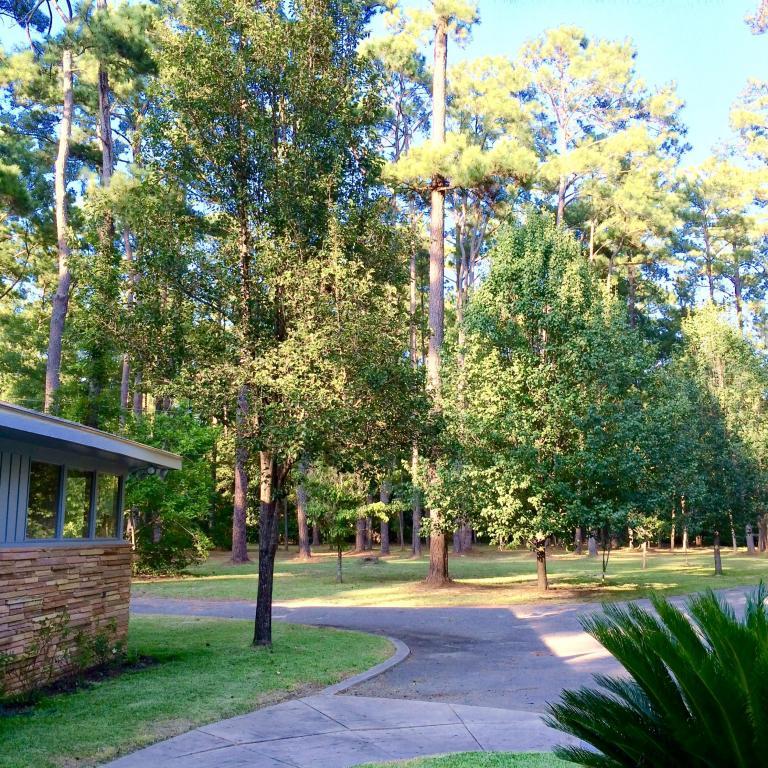230 Overhill Road Walterboro, SC 29488 - Photo 8 of 59 part of drive
