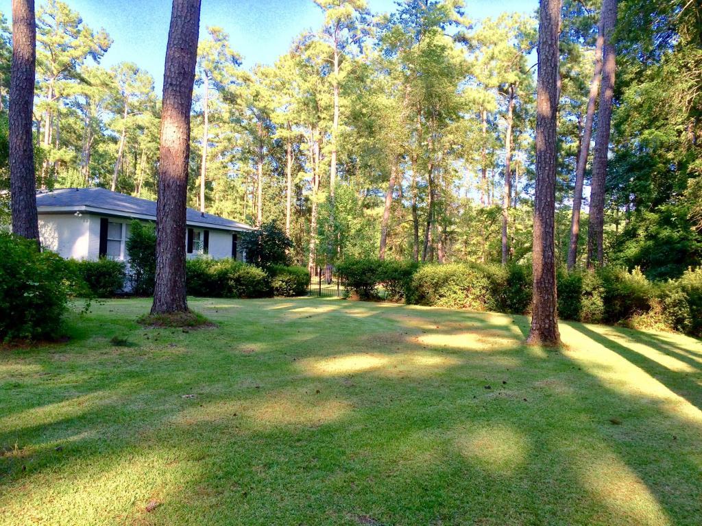 230 Overhill Road Walterboro, SC 29488 - Photo 10 of 59 side front