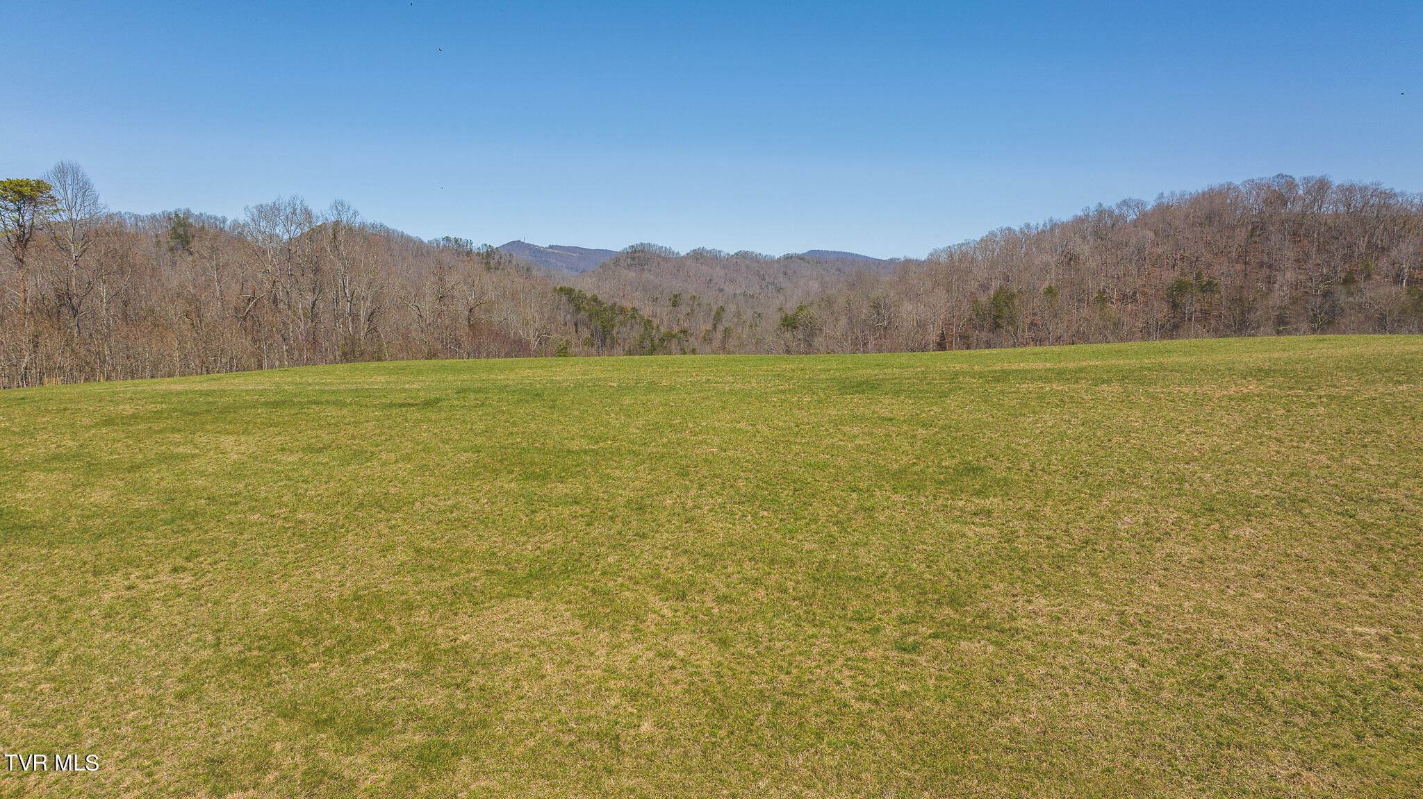 3 Bundren Mountain Road Tazewell, TN 37879 - Photo 12 of 23 DJI_20240311142727_0218_D